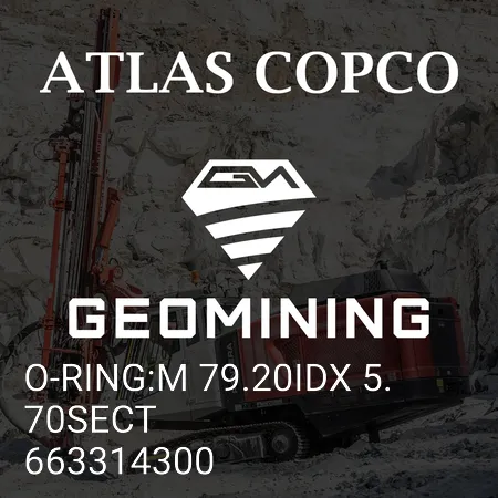 663314300 УПЛОТНИТЕЛЬНОЕ КОЛЬЦО:M 79.20IDX 5.70SECT Atlas Copco / Epiroc